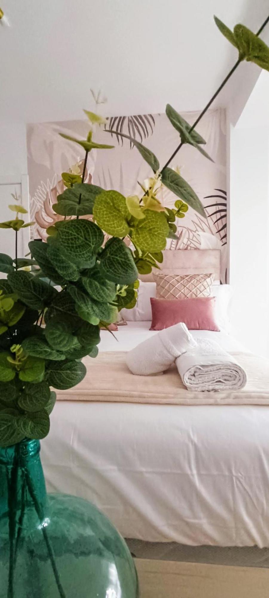 Apartamento Centro Ancha De Gracia Granada Exteriör bild